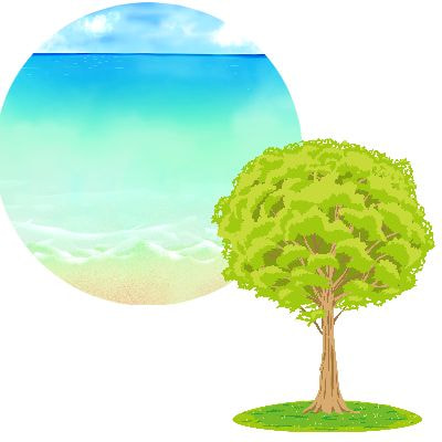 海洋散骨・樹木葬